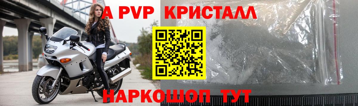 Alfa_PVP СК Елец