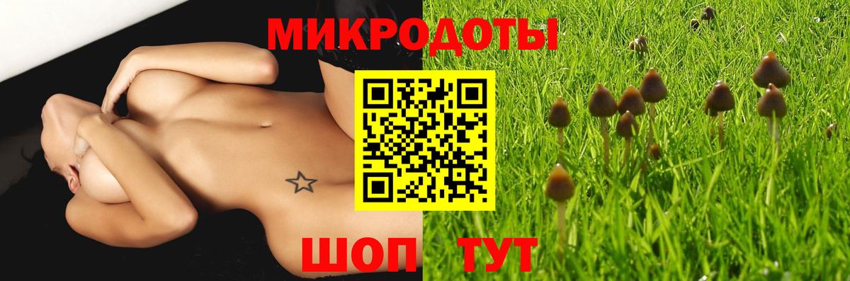 Псилоцибиновые грибы Cubensis  Вход с VPN  Псилоцибиновые грибы Magic Shrooms  магазин продажи наркотиков  Елец 