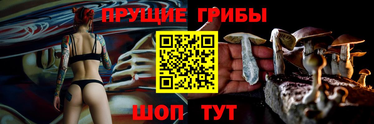 Галлюциногенные грибы прущие грибы Елец